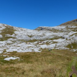 P1050694